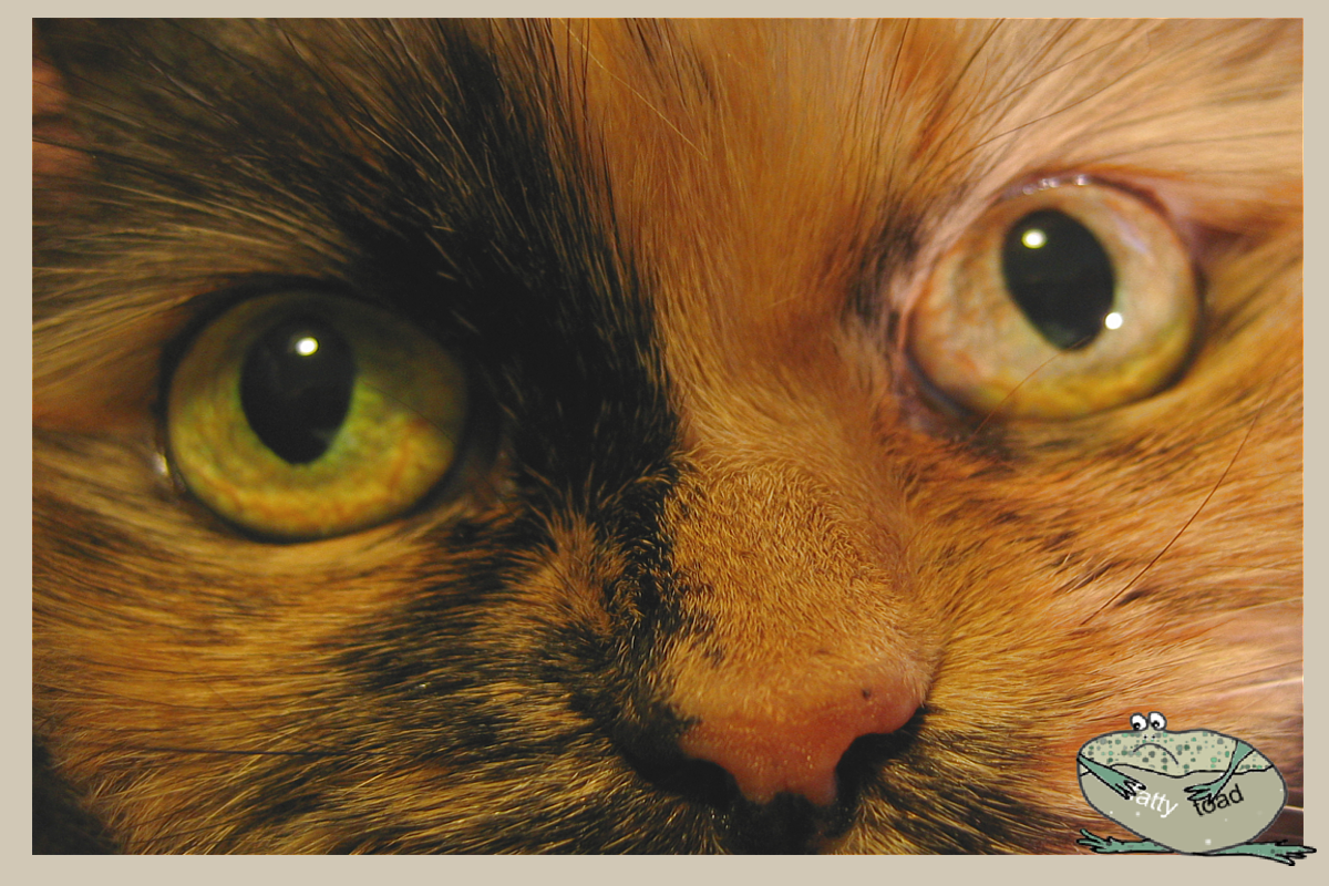 Все будет хорошо, правда!