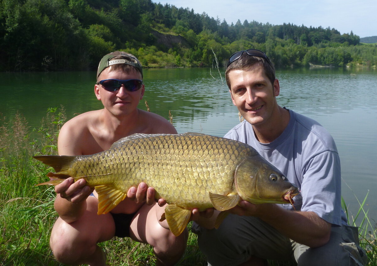 Шарик помог увидеть осторожную поклёвку этого прекрасного карпа. Фото: автор