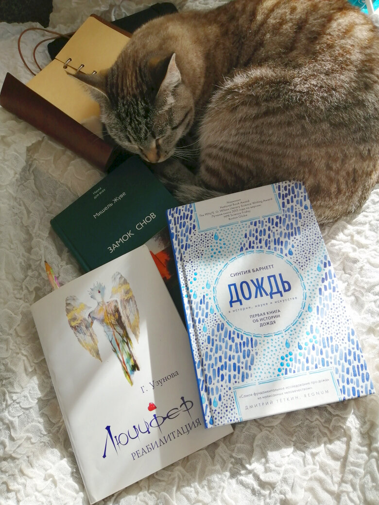 Ни одной кошки при подготовке поста не пострадало ))