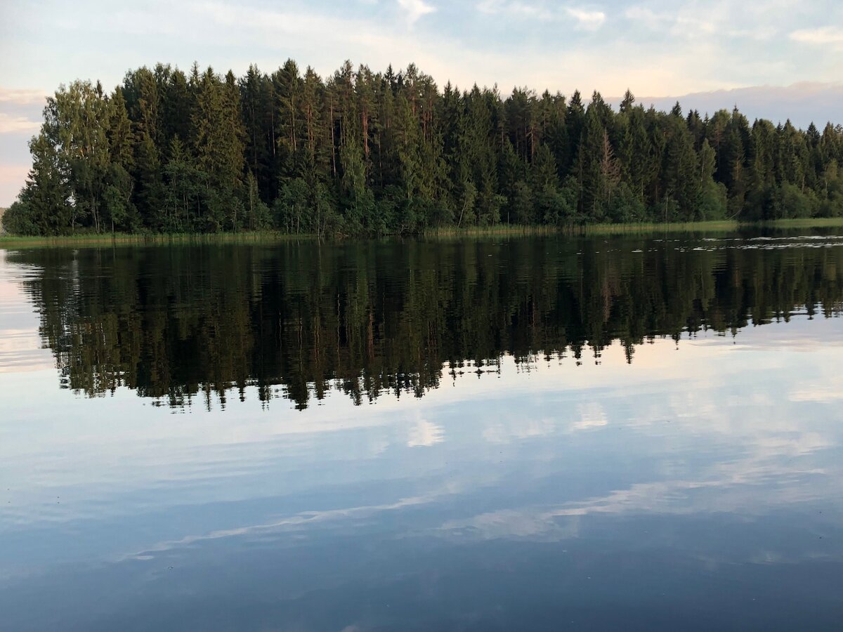 Как ровная гладь воды способна отразить лес во всем его многообразии, так и открытые и незамутненные рябью собственных ожиданий и трактовок разум и душа психотерапевта способны отразить чувства, восприятие и надежды клиента. Фото автора