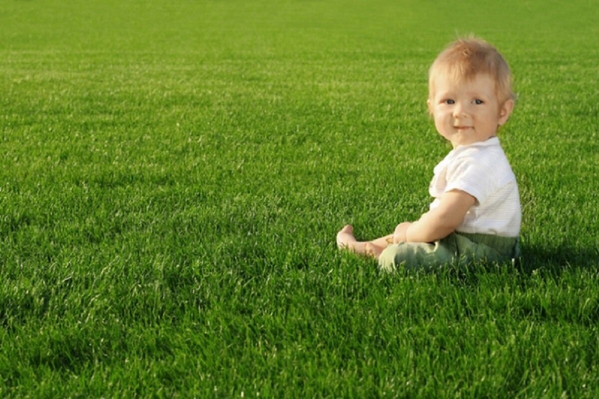 Малыш сидит на траве