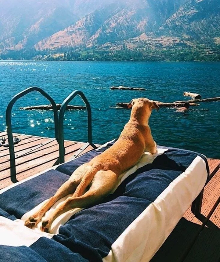 Фото с открытого источника интернет.