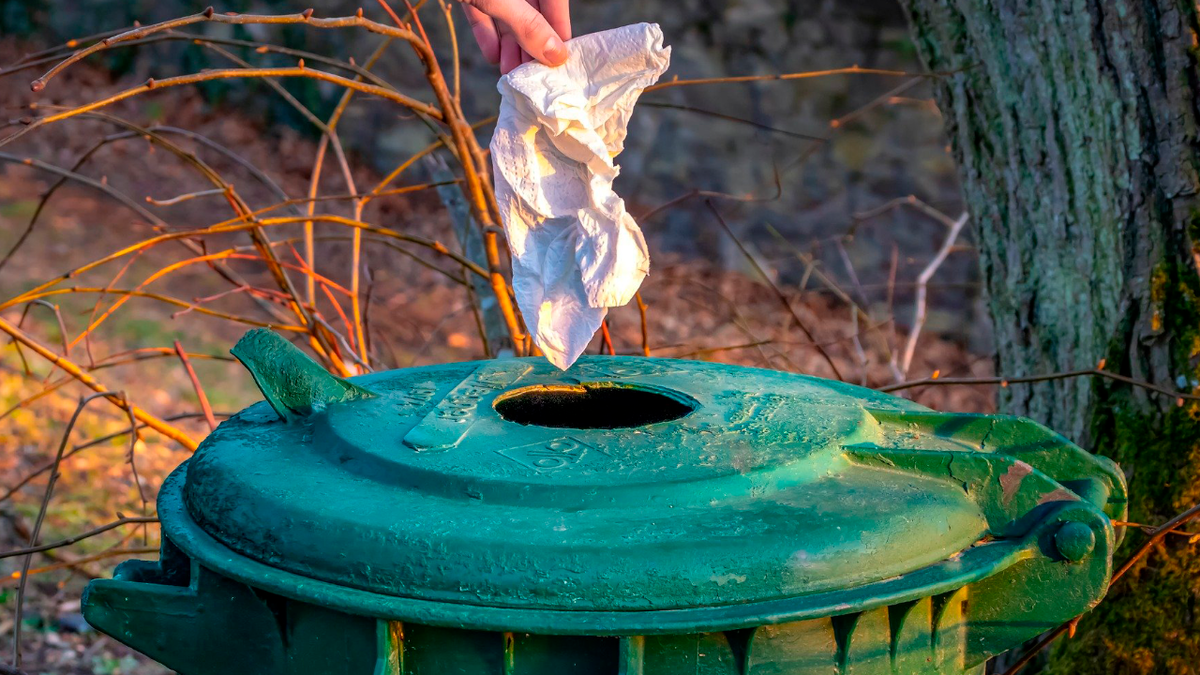 Image by analogicus from Pixabay