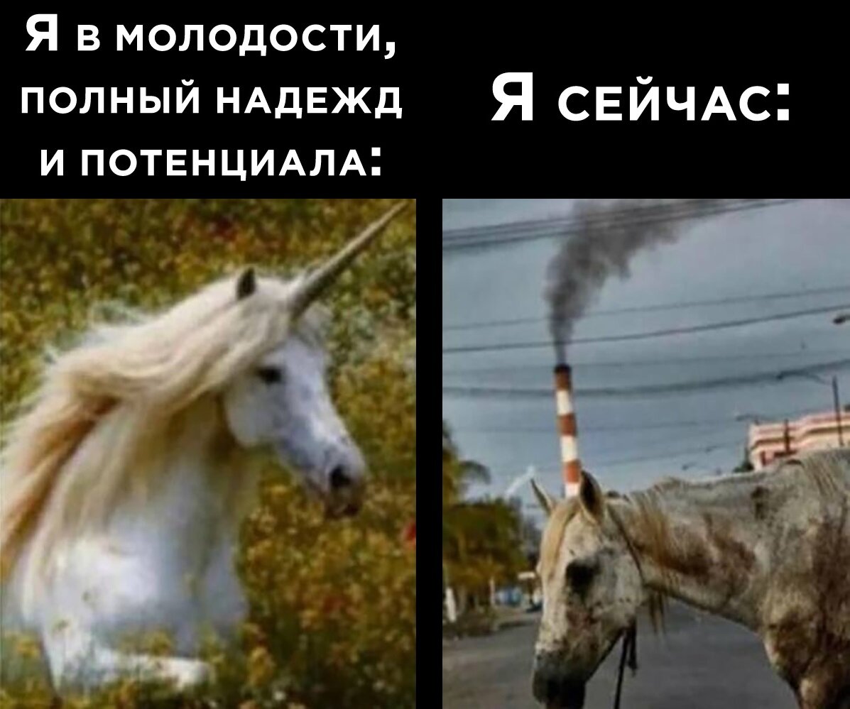 Примерно так я себя и чувствую. Картинка взята из Вконтакте