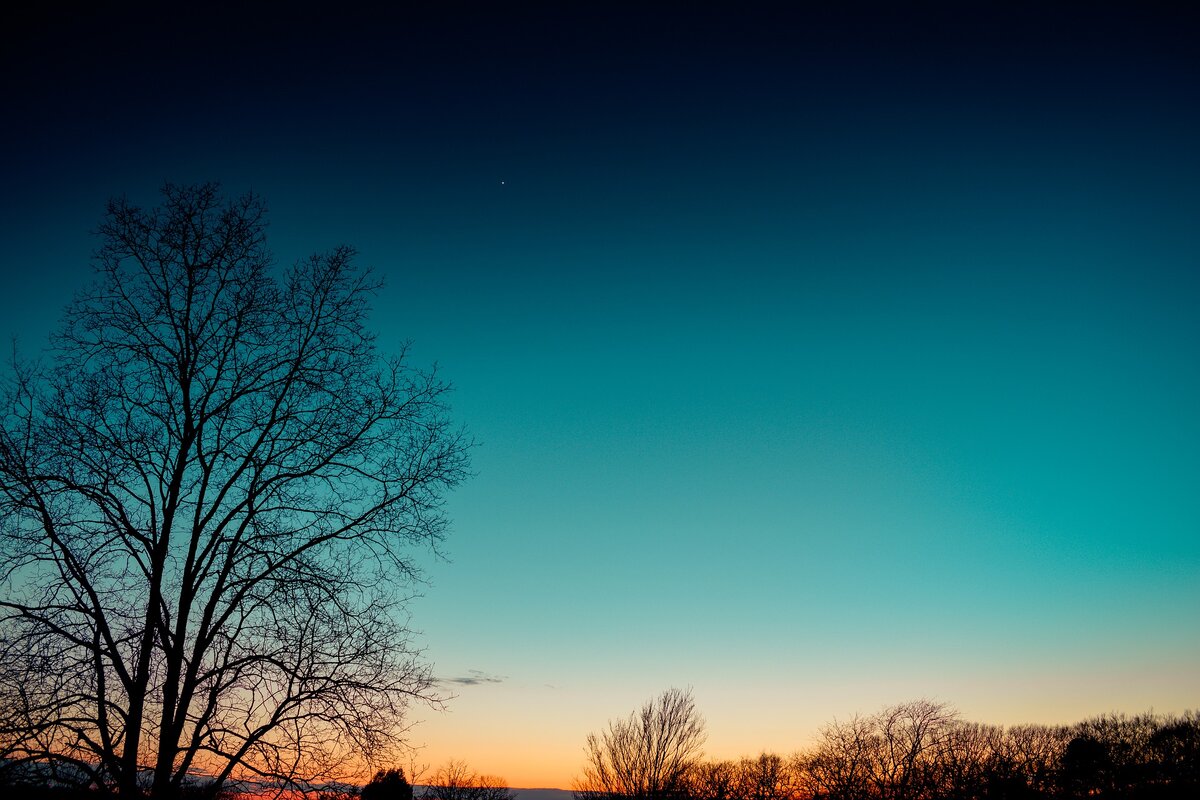 https://pixabay.com/ru/
