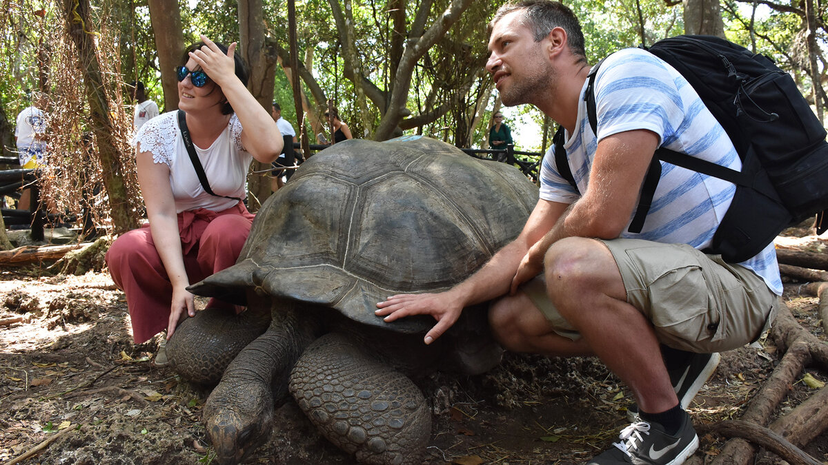 Фото: Getty Images/Anadolu Agency