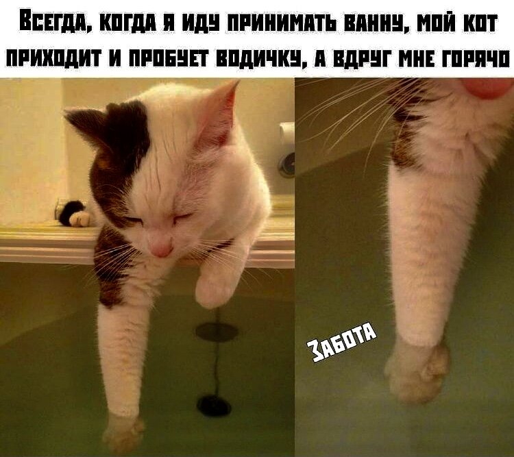 Фото из открытого источника