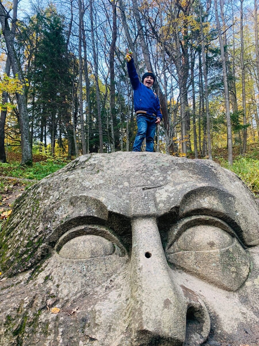 Голова в Сергиевке