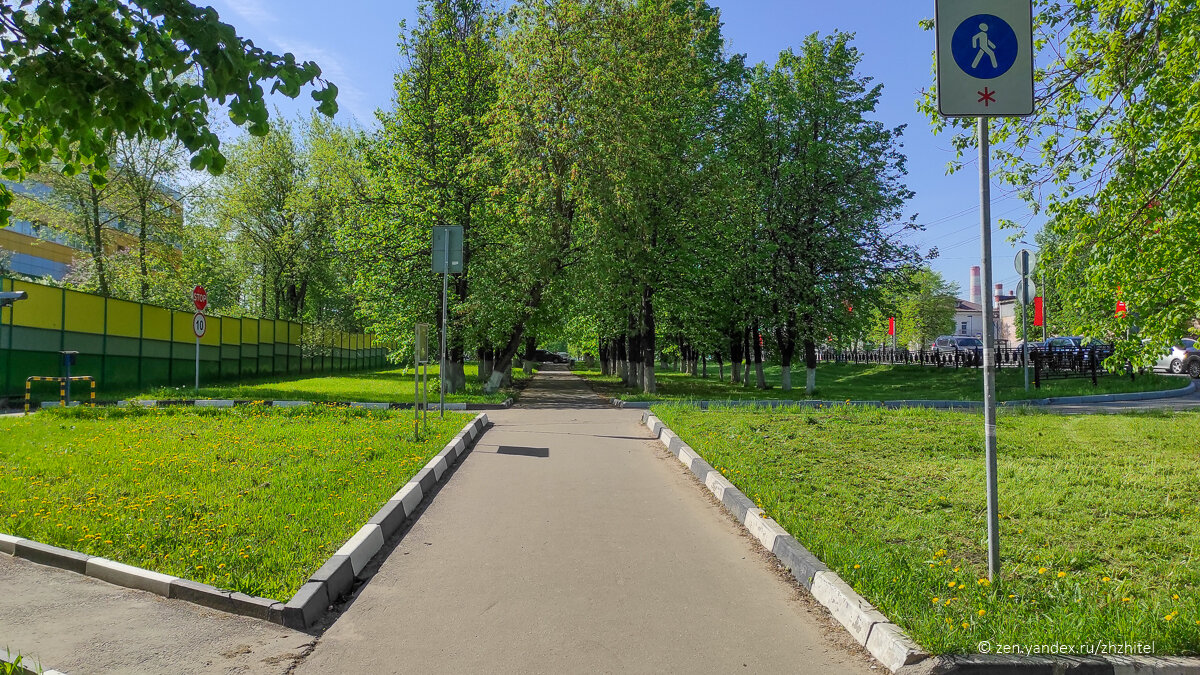 Окраска бордюра 