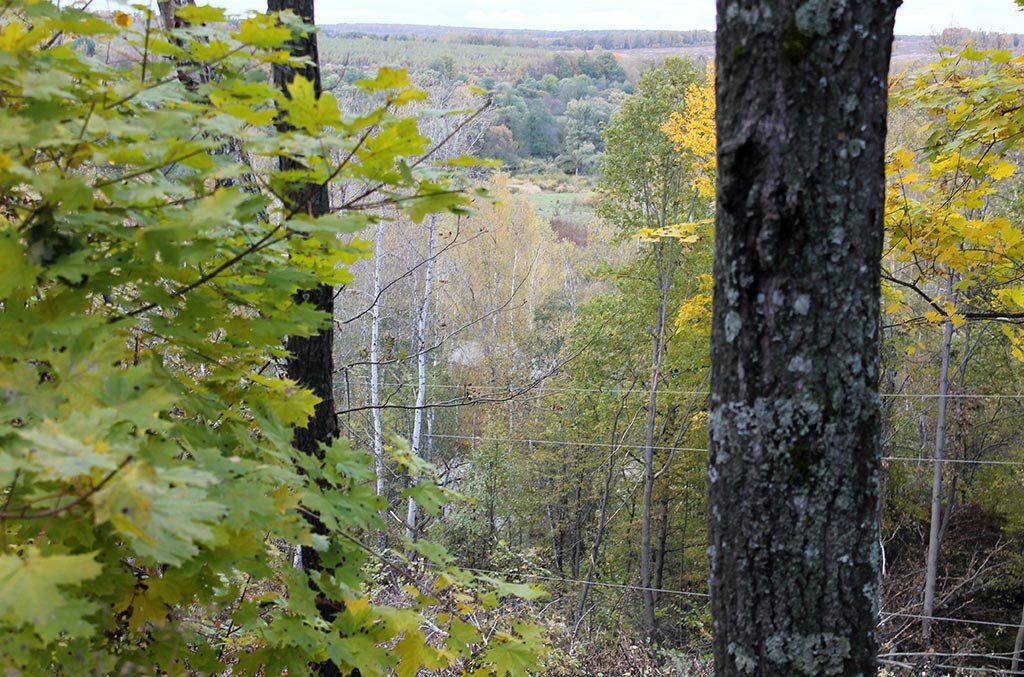 Вид с городища на село "Лысая гора"