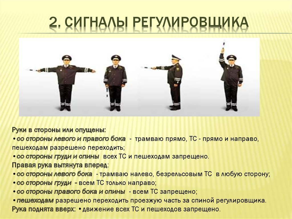 Данное положение регулирует