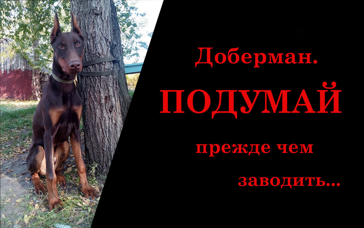 Обложка автора.