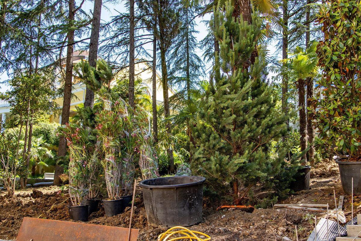 Санаторий Красмашеский, г. Сочи