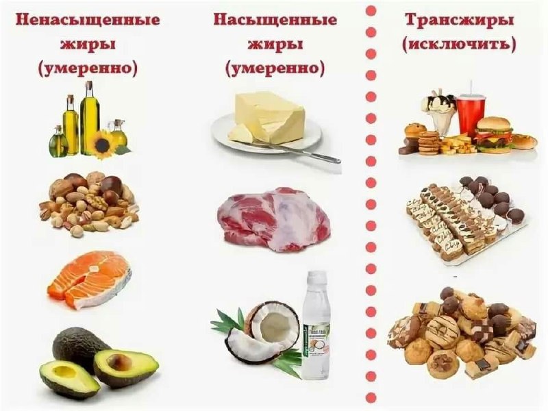 Виды жиров