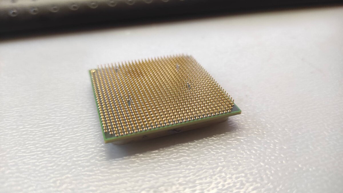 Фото автора канала, ножки процессора