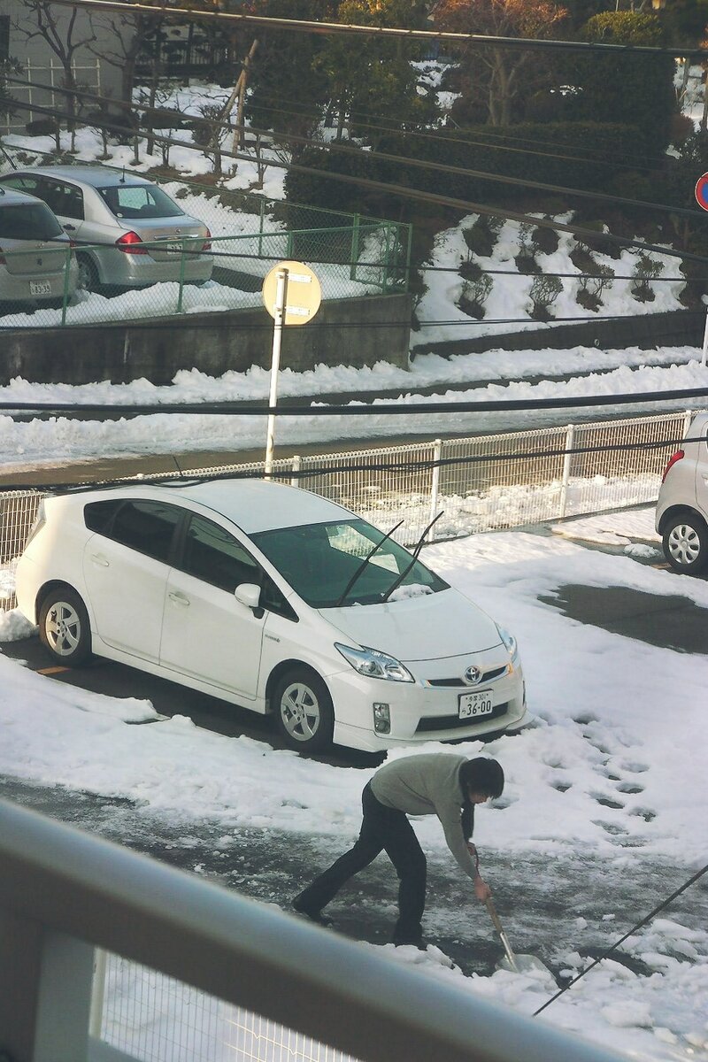 Возле дома (Фото моё)