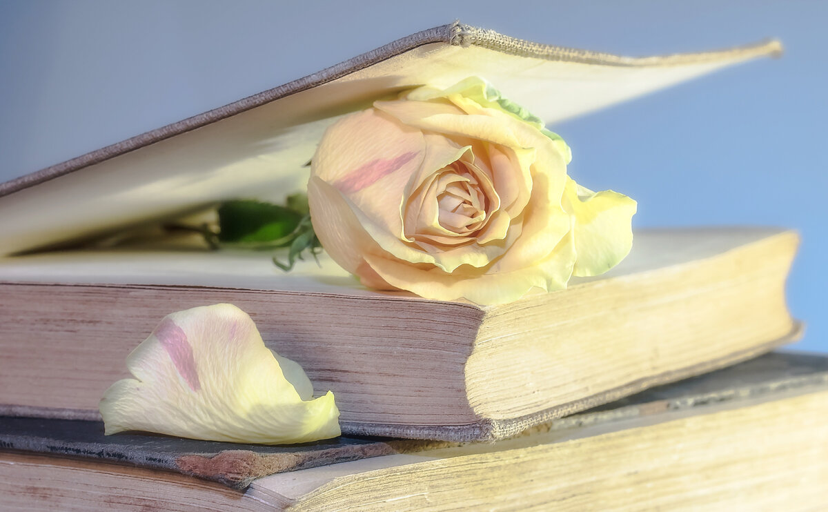 Книги // Фото: Pixabay / Myriams-Fotos