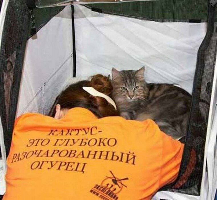 Посмеялся сам - поделись с другом!!!