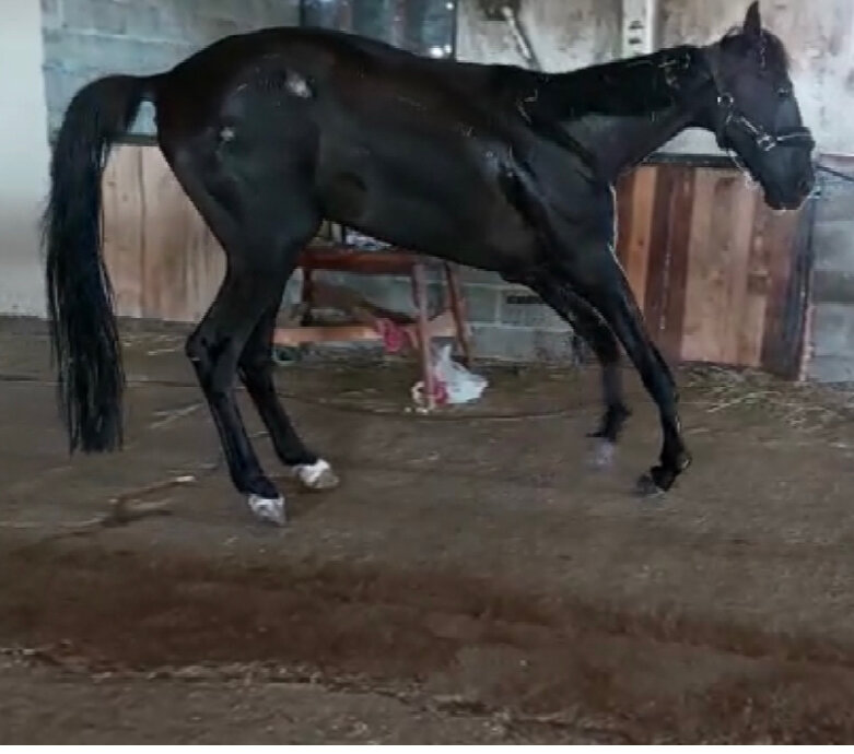 Герой повествования Гарсон Лок. Фото из личного архива.