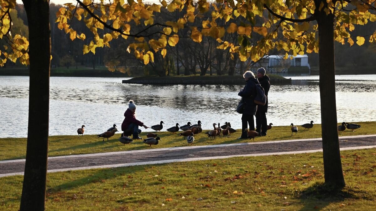    Музей-заповедник "Царицыно" в Москве© РИА Новости / Владимир Баранов
