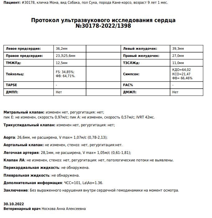 ЭХО КГ, норма