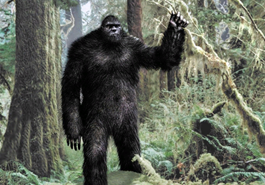 Картинки из Интернета.Посетитель миров.