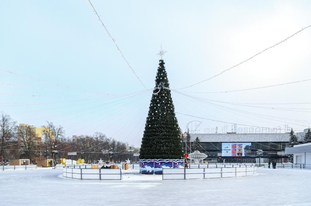 елка звездный липецк. каток звездный липецк. елка на площади петра липецк. елка звездный липецк. елка на петре липецк.