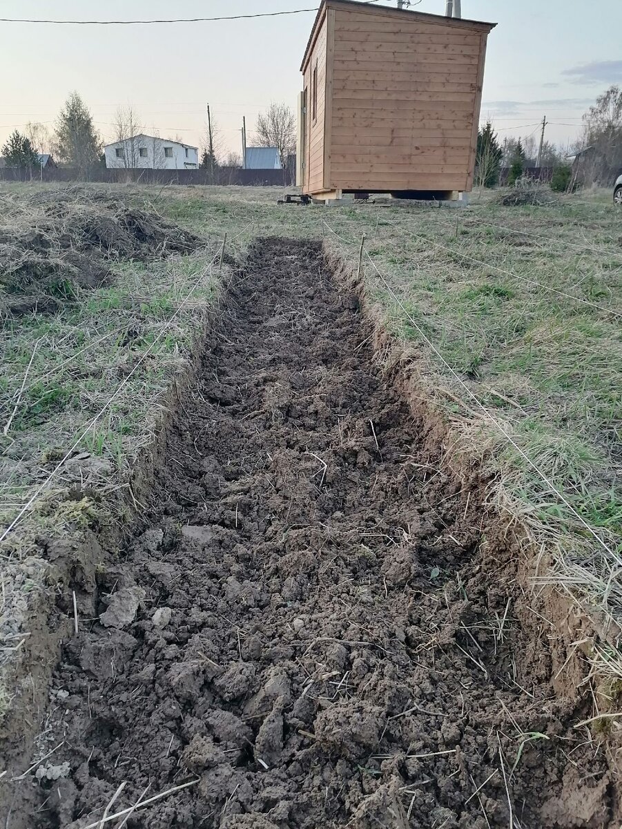 Первая грядка