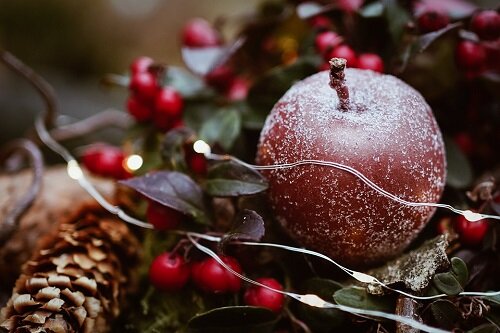 Изображение из открытого источника. Pixabay