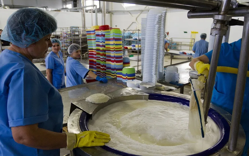 Яндекс картинки