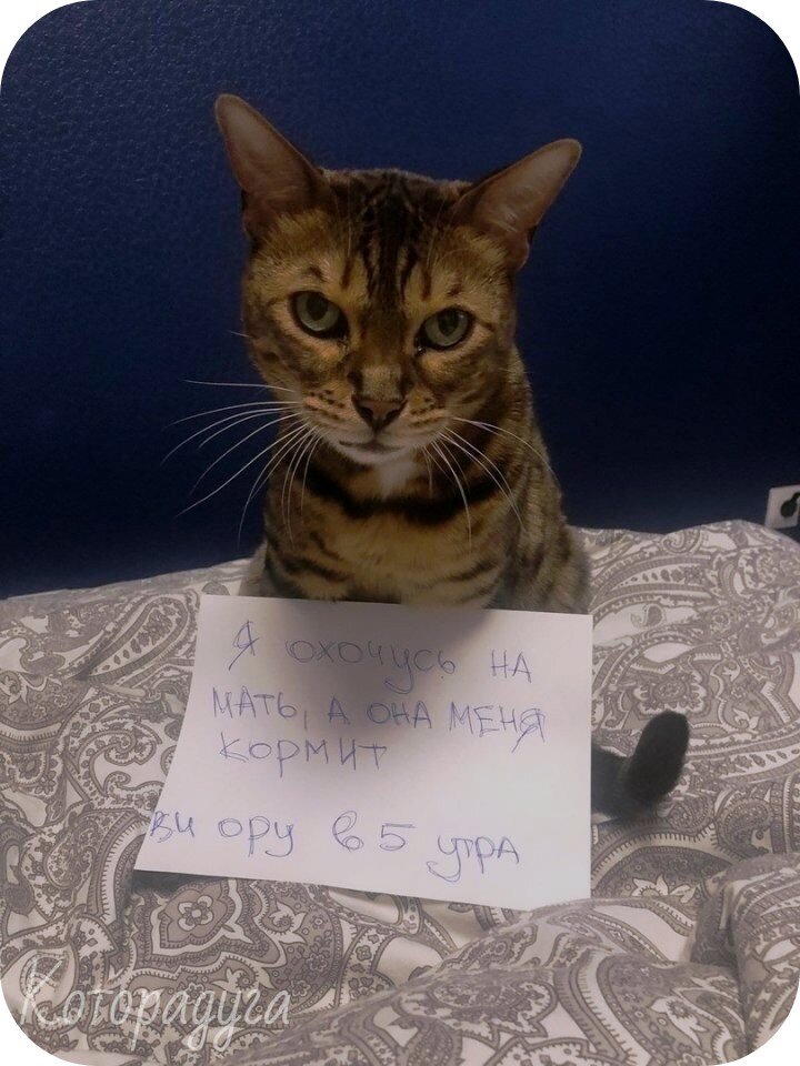 Источник: reddit.com