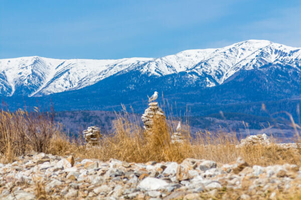    Фото: egov-buryatia.ru