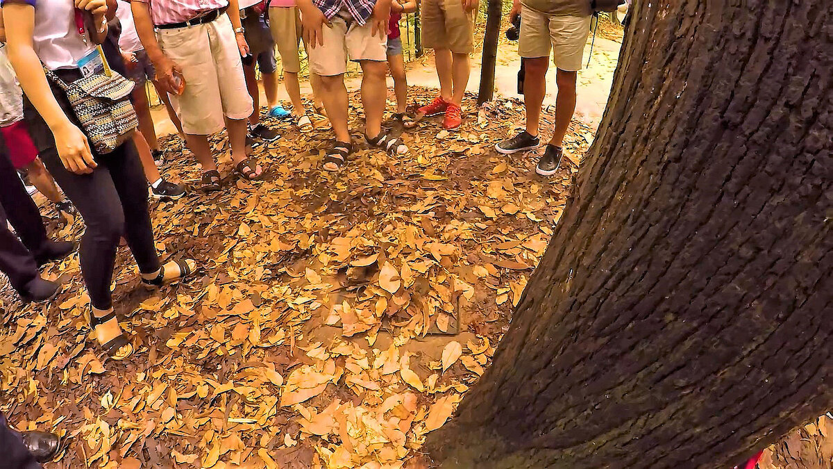 парень под землей, присыпан листьями, хорошая маскировка! >>>>