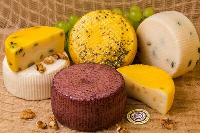    Сыроварня «Сыр своими руками» из Подмосковья © Комитет по туризму Московской области