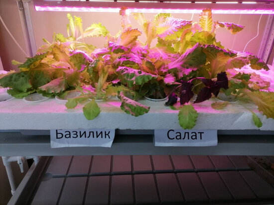     В школах Хабаровского края появятся еще четыре современных центра профессиональных компетенций ФОТО: минобр Хабаровского края
