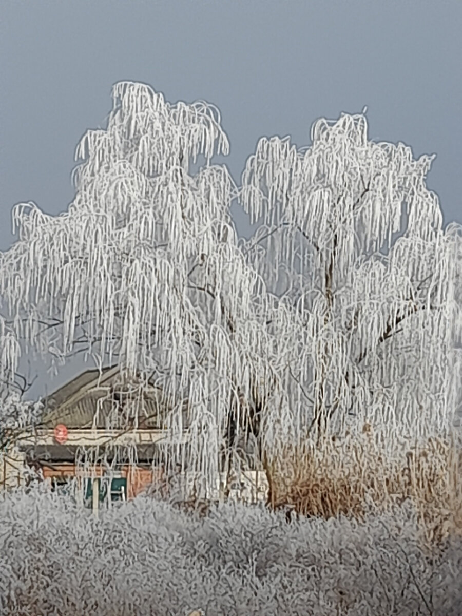 Фотография И.Т.