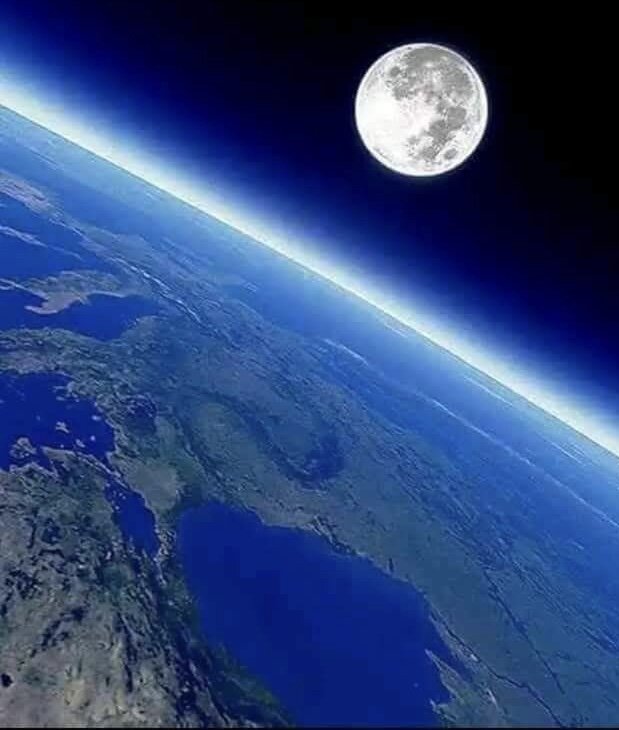 Фото Яндекс картинки.