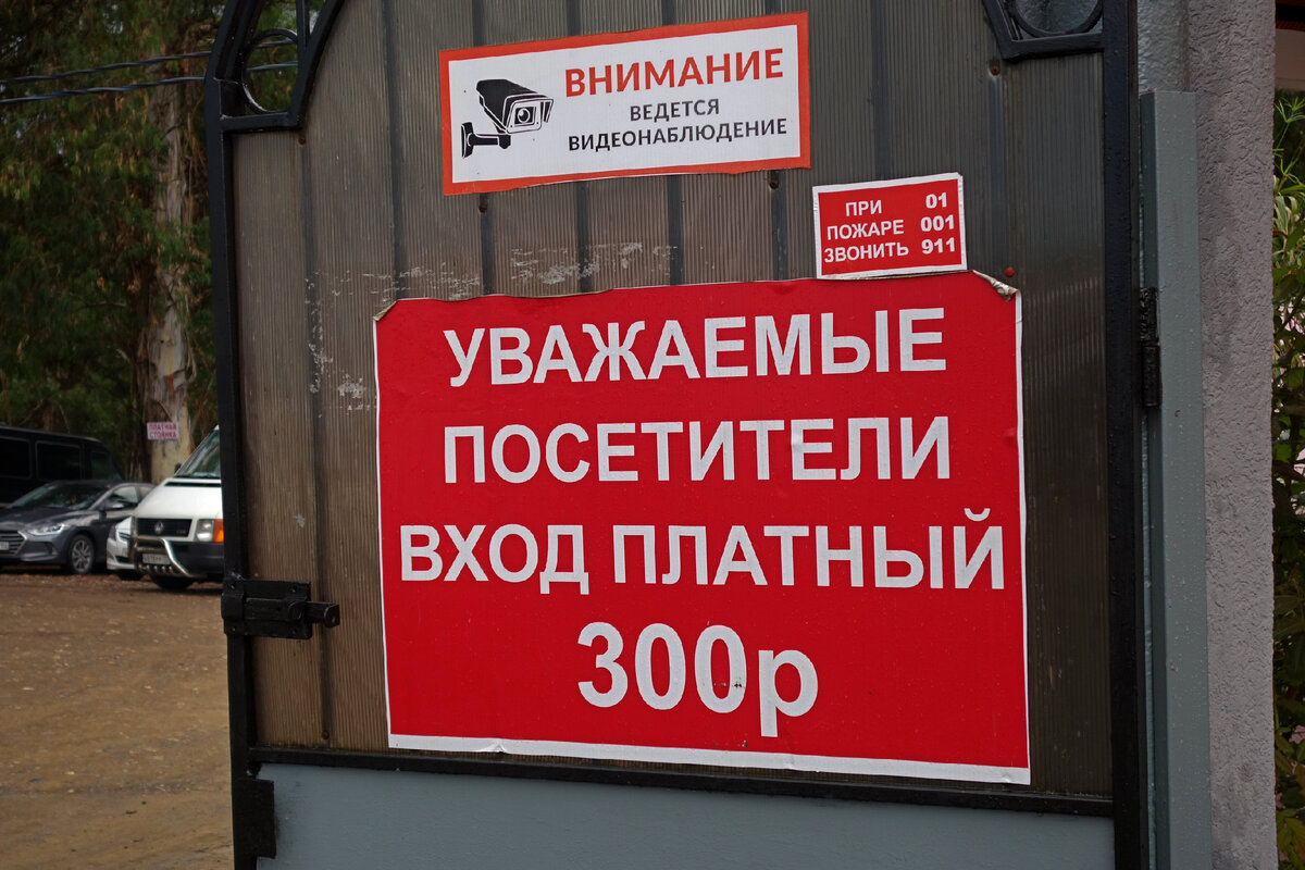 Вход 300 рублей