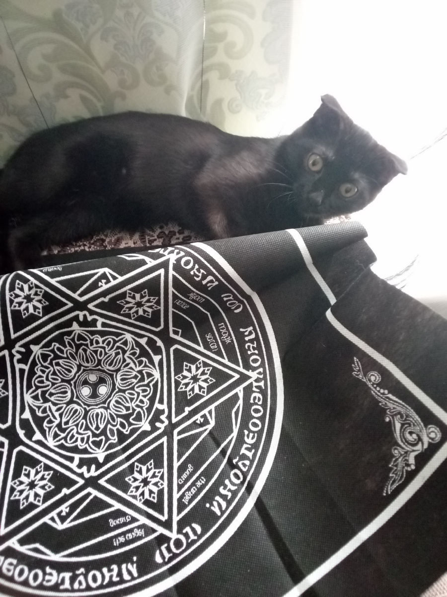 Алиса.