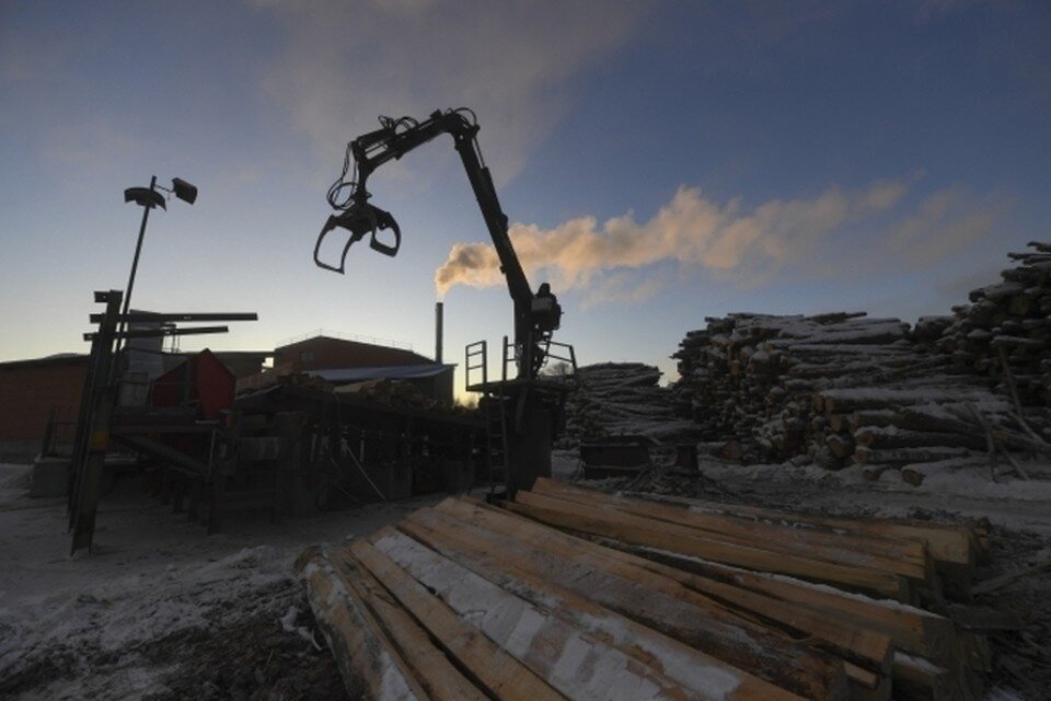    В Тайшете арестовали трех человек за контрабанду леса на 14 миллионов Иван МАКЕЕВ