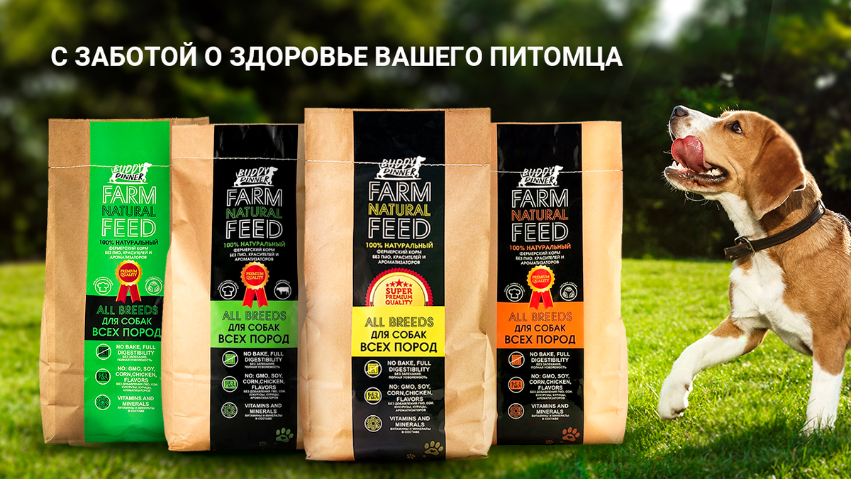 Buddy dinner корм для собак отзывы