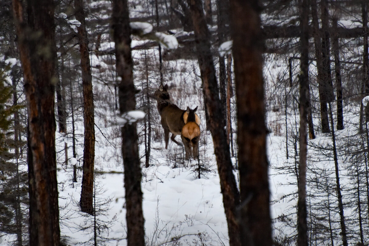 Восхитительные попы >>>
