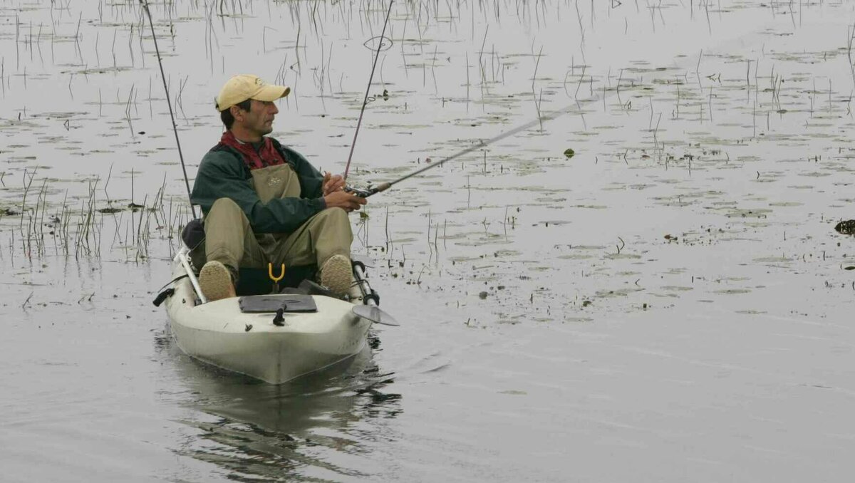     В Ростовской области становится меньше жителей, пока в Ростове собирают средства на указатели для остановок и пытаются определить источник мазутной пленки на реке Дон.