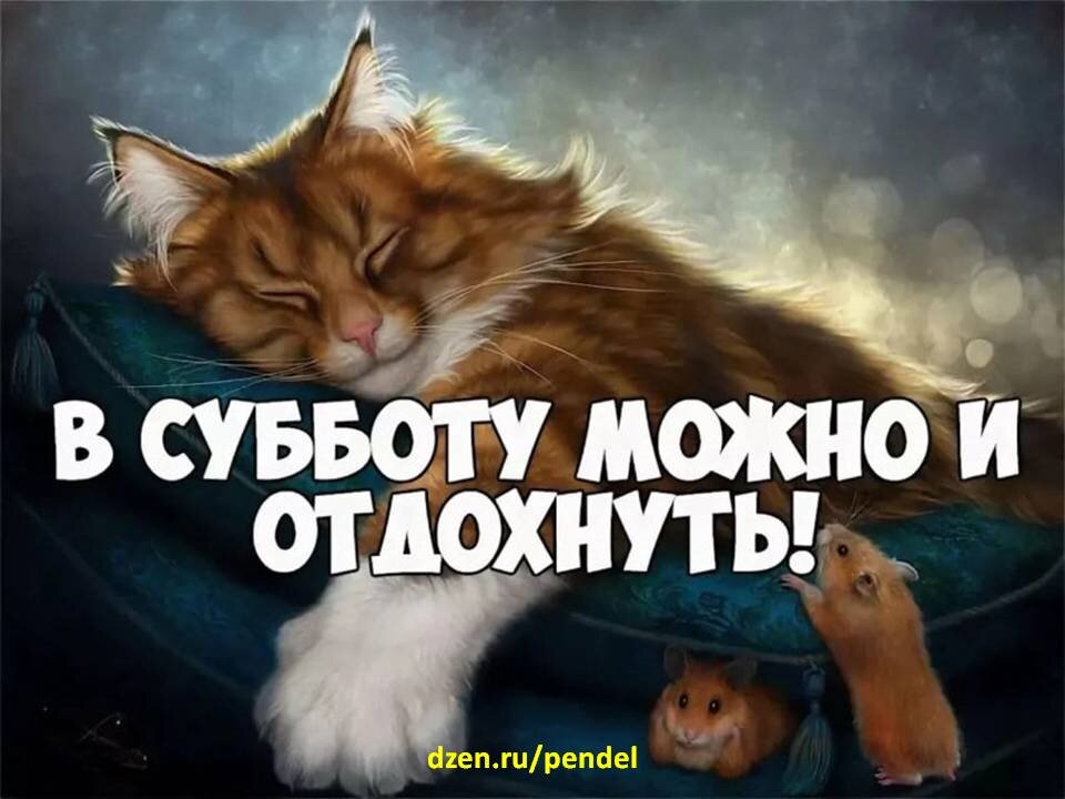 Субботнее утро