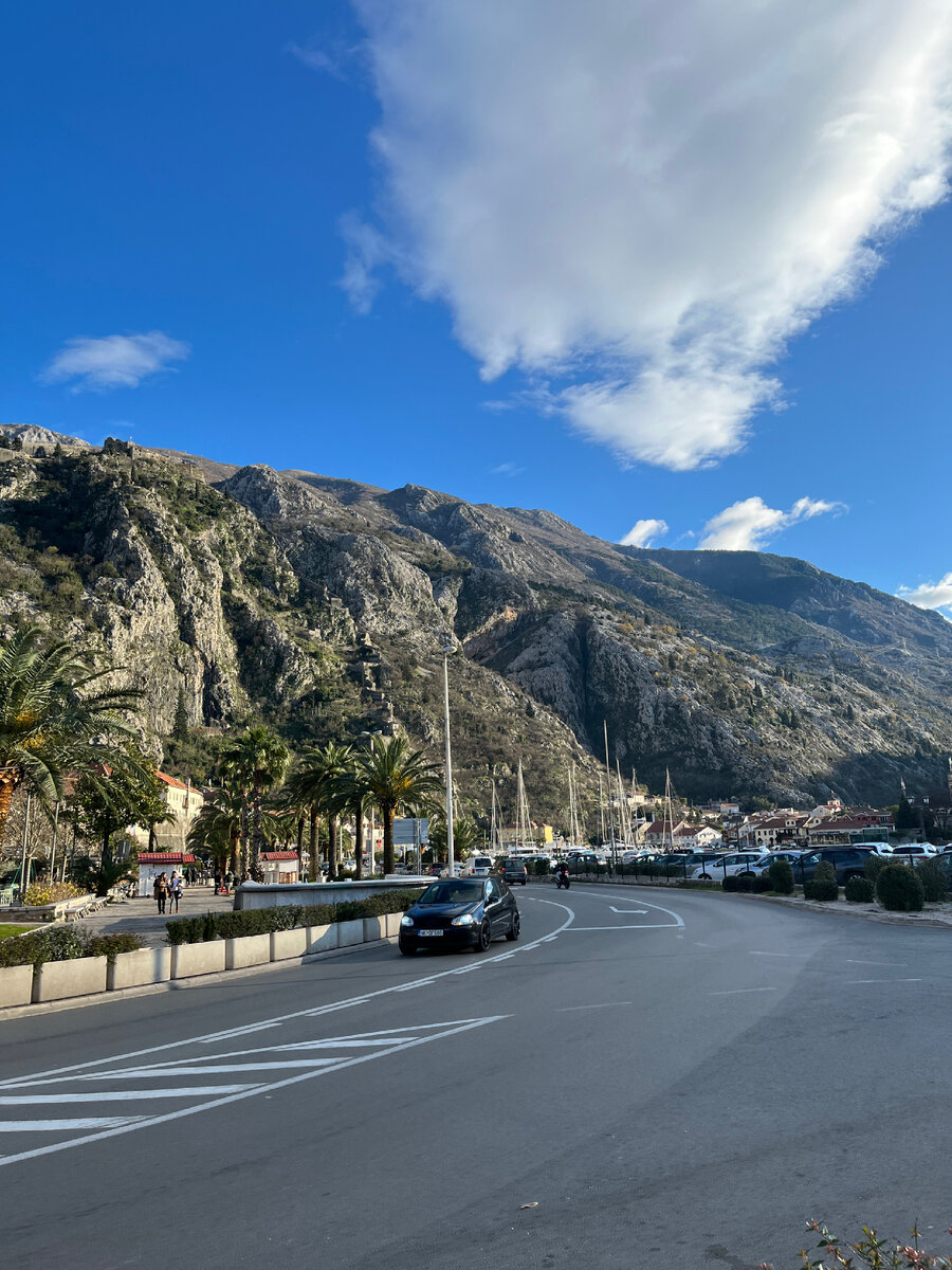 Kotor