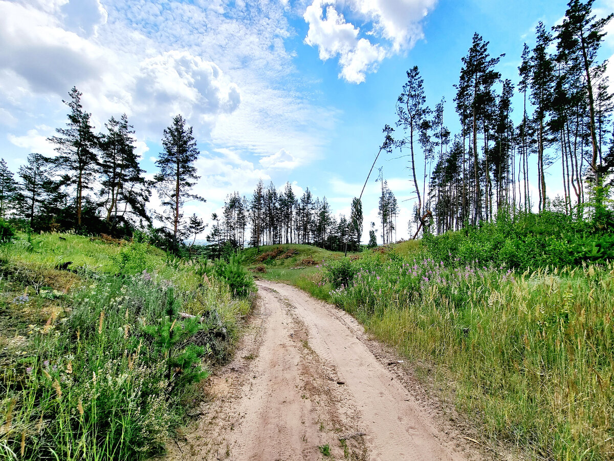 Мы не знаем, что за поворотом слева. Но мы обязательно пойдём туда!