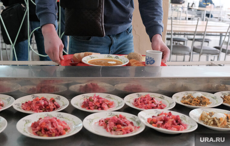    В Курганской гимназии закупали продукты по завышенным ценам