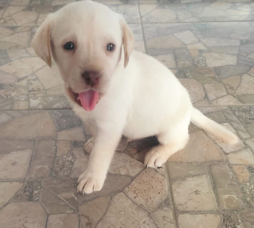 Теперь  я дома