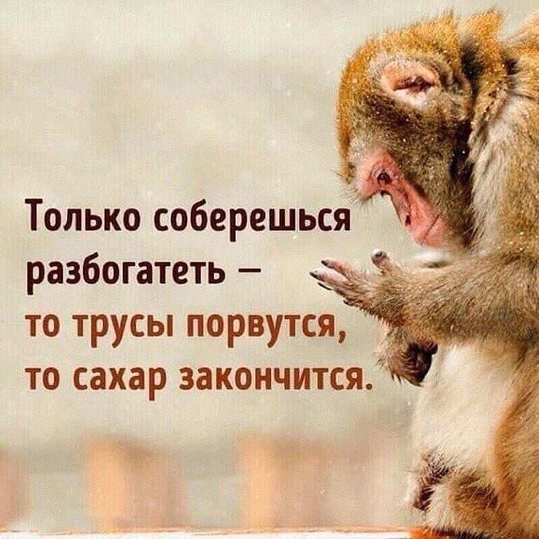 Она не обидится, она посмеется!