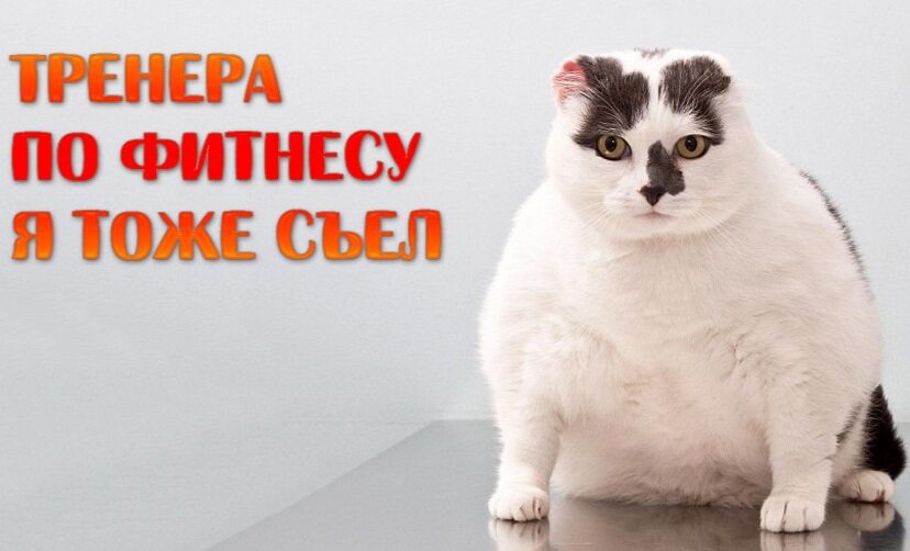 Источник фото: яндекс